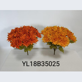YL18B35025 18头毛布爪菊
