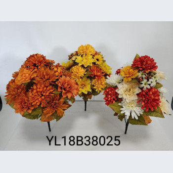 YL18B38025 18头球菊爪菊大丽花