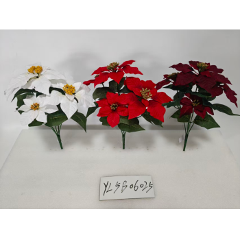 YL5B06025 大5头圣诞花