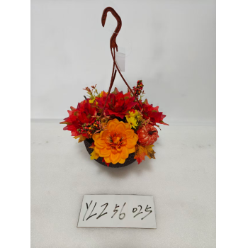 YLZ56025 大丽花吊篮