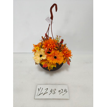 YLZ58025 爪菊吊篮